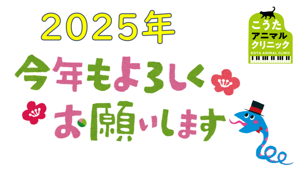 2025年　年始　
こうたアニマルクリニック